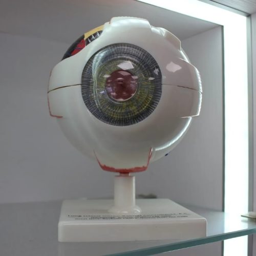 Single Vision Lenses