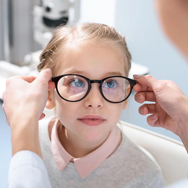 Austin Optics Premium Eye